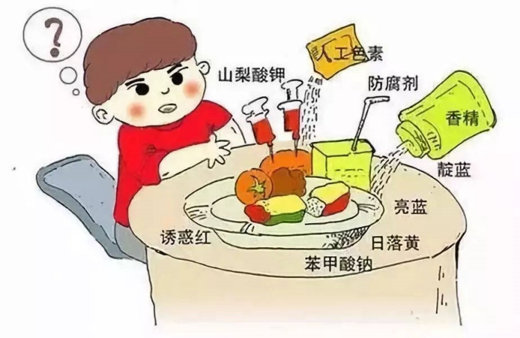 食品添加劑是構(gòu)成現(xiàn)代食品工業(yè)的重要因素